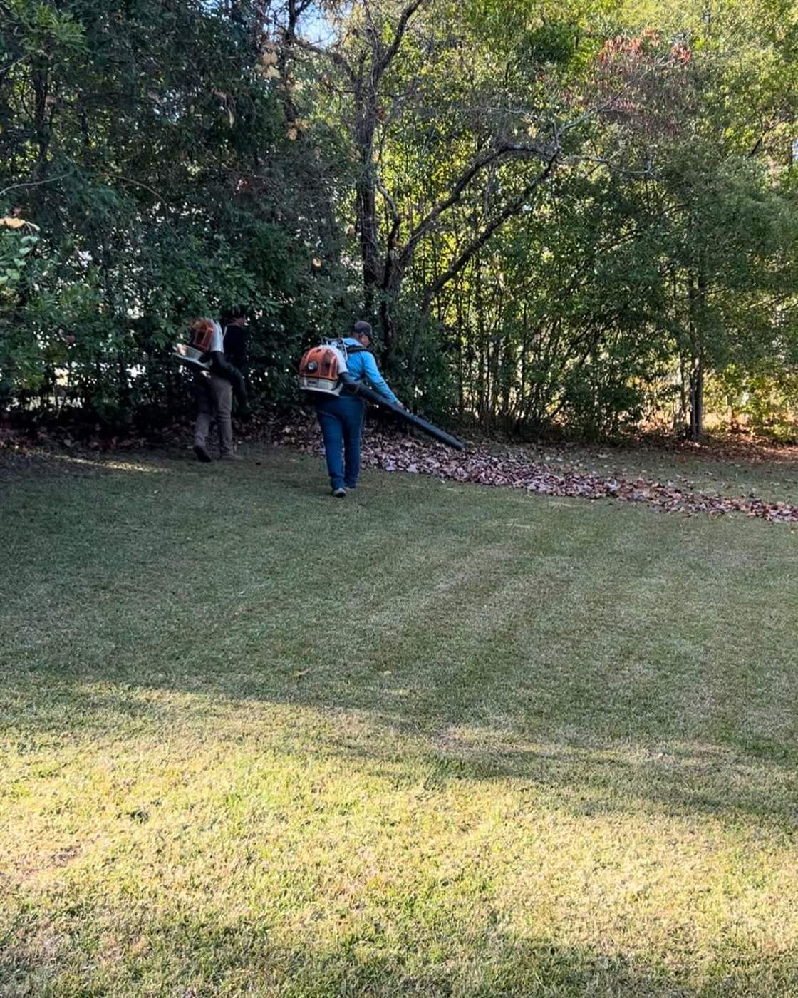 SOG Services crew clearing leaves from a Birmingham, AL yard