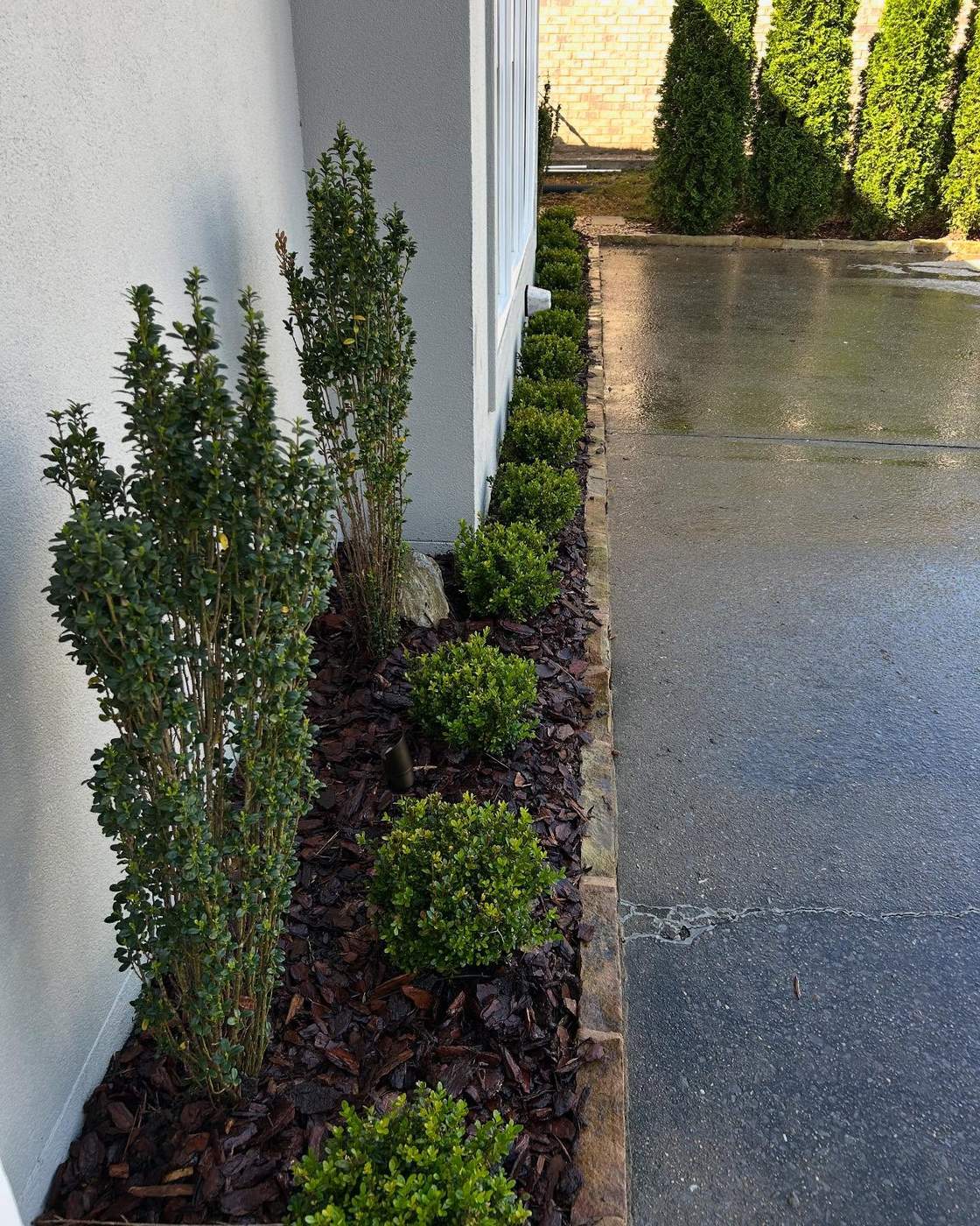 New shrub installation along a home foundation in Birmingham, AL by SOG Services