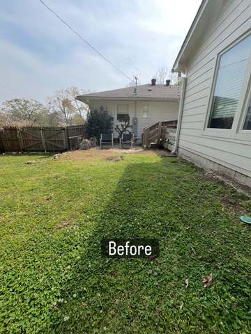 Before: backyard lawn, Birmingham AL