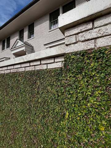 Hedge Trimming Service in Birmingham, AL by SOG Services