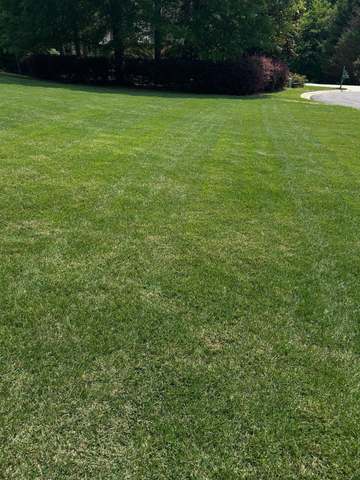 Lawn Mowing Service in Birmingham, AL by SOG Services