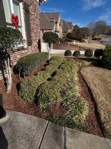Shrub Trimming Hedge Trimming in Birmingham, AL by SOG Services