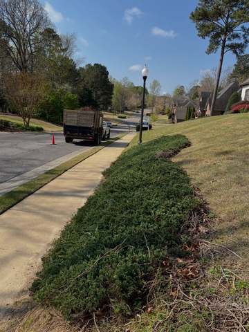 Skid Steer Cleanup in Birmingham, AL by SOG Services