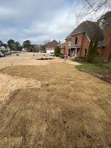 Fresh sod installation, front lawn &mdash; SOG Services, Birmingham AL
