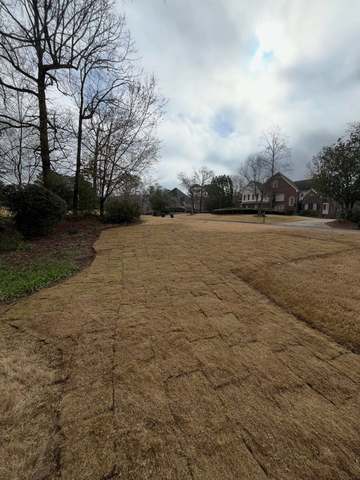 Sod Installation in Birmingham, AL by SOG Services
