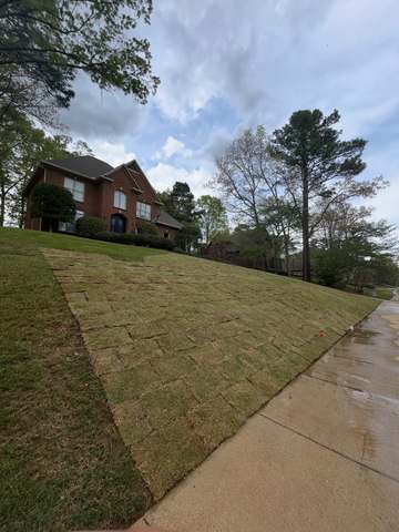 Sod Installation in Birmingham, AL by SOG Services